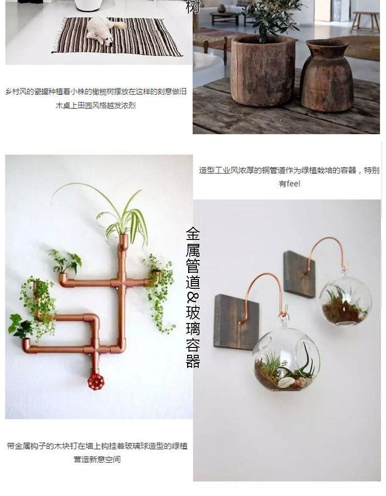 绿植在室内装修中的作用